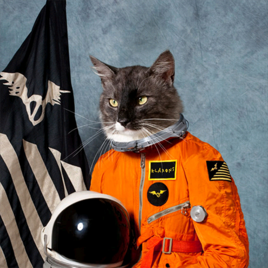This is the winning entry of the Art Vinyl Best Album cover by the Klaxons.